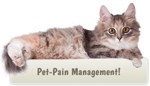 Pet-Pain Management!